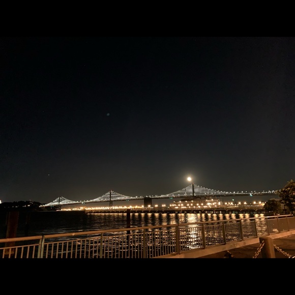 Meet your Posher, Lucy - Picture 1 of 1